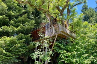 Cabanes nids des Vosges